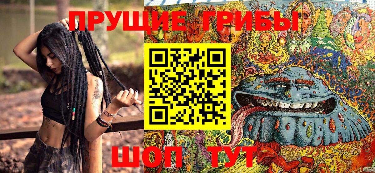 Галлюциногенные грибы MAGIC MUSHROOMS  Псилоцибиновые грибы MAGIC MUSHROOMS  Вход с VPN  Новоалтайск 